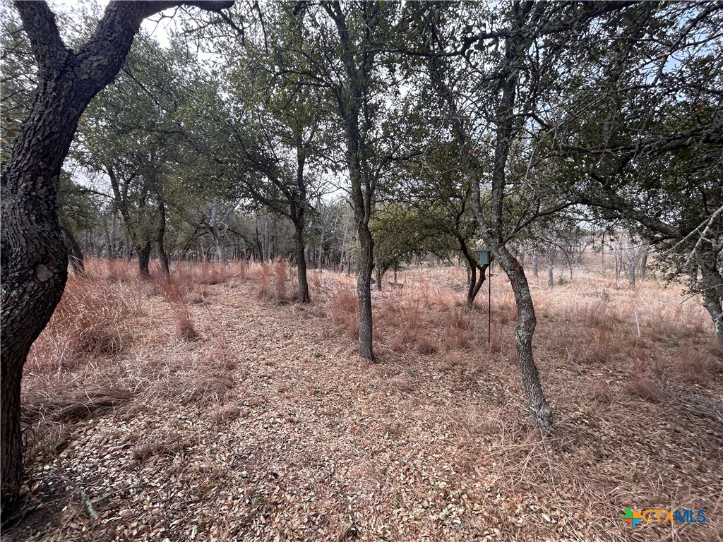 13203 Private Rd 3642 Road Property Photo 23