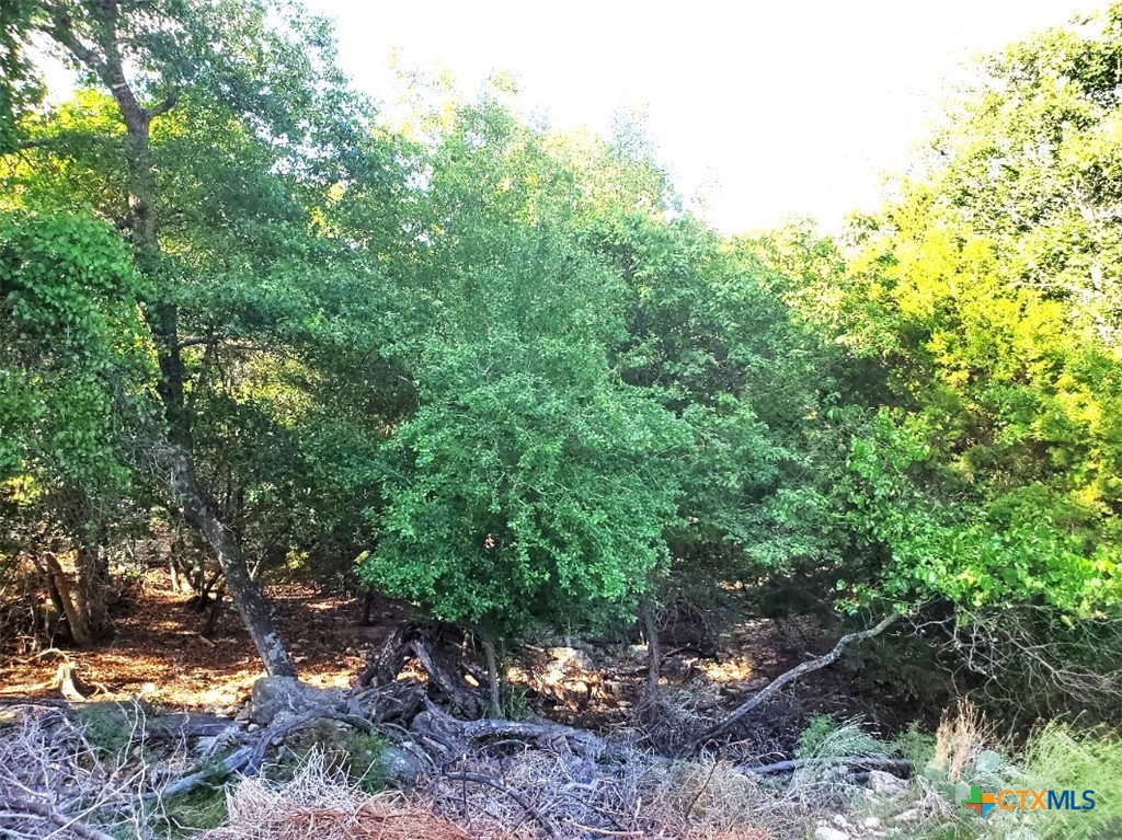 16353 Charlya Drive Property Photo 8