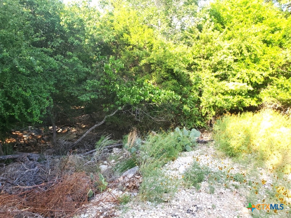 16353 Charlya Drive Property Photo 9