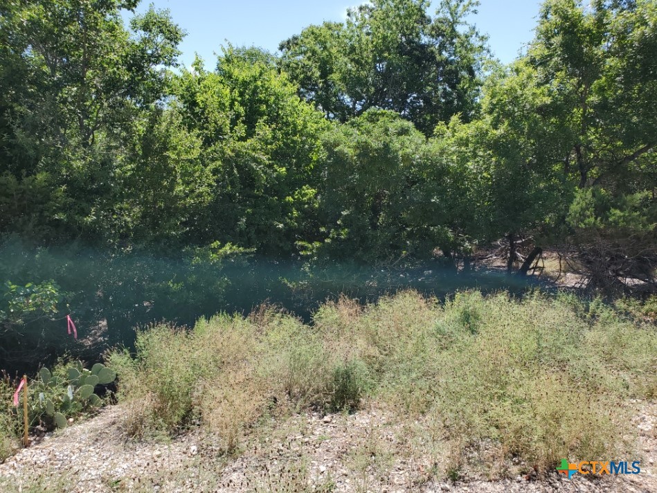 16353 Charlya Drive Property Photo 10