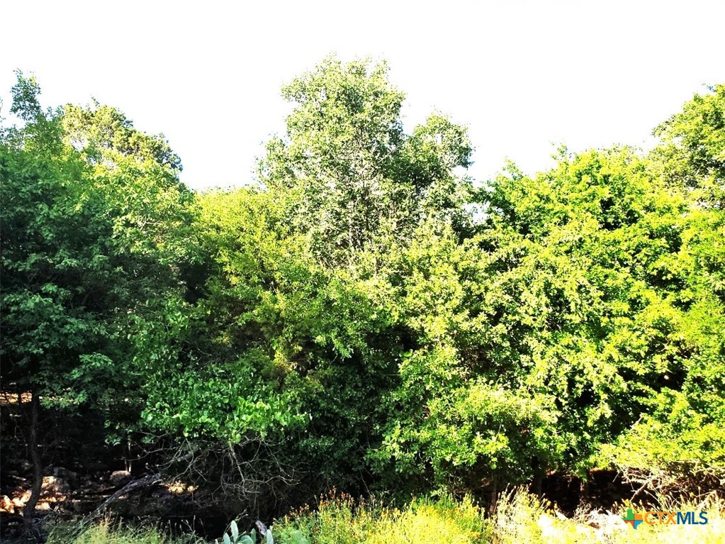 16353 Charlya Drive Property Photo 11