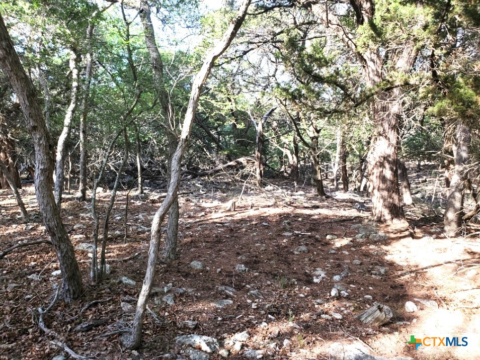 16353 Charlya Drive Property Photo 16
