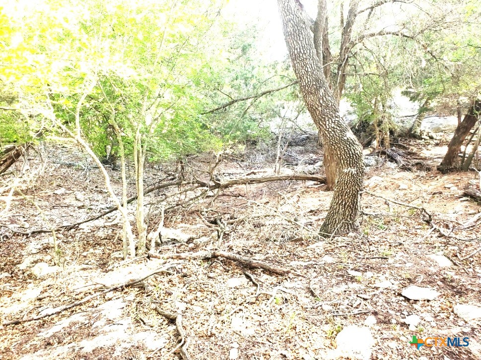 16353 Charlya Drive Property Photo 17