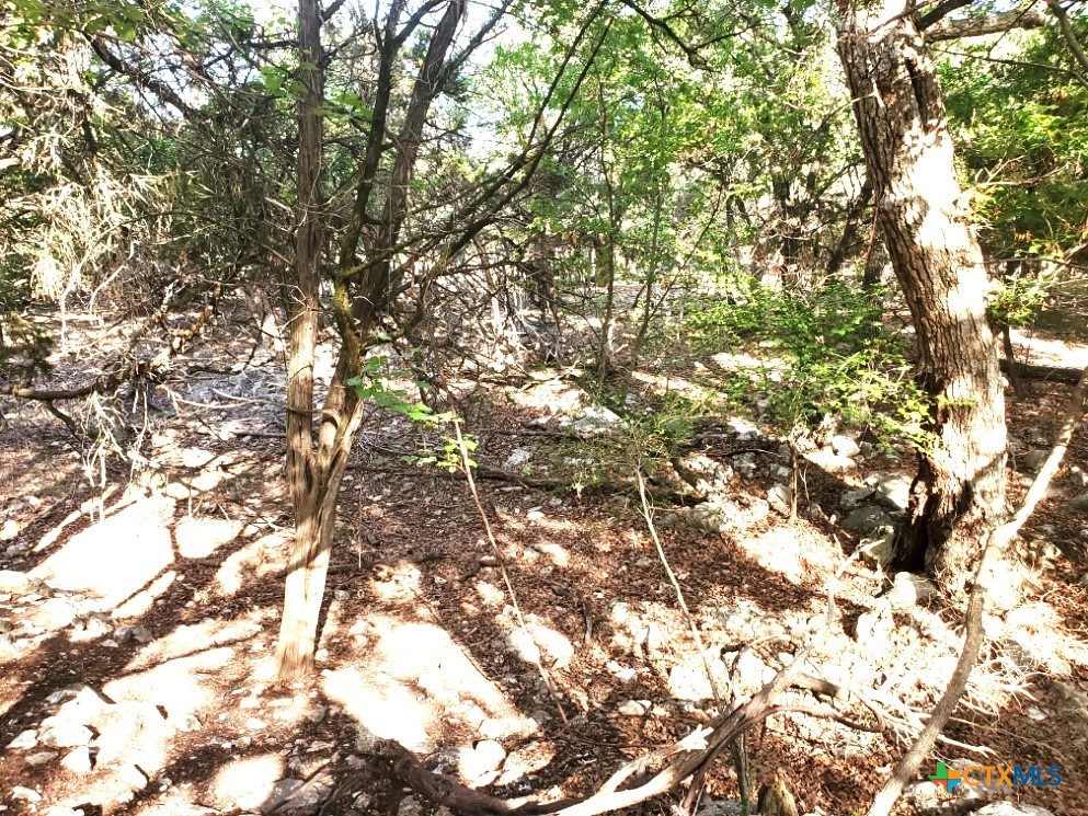 16353 Charlya Drive Property Photo 19