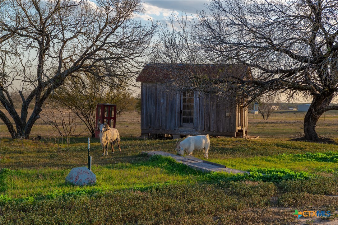 7150 Linne Road Property Photo 31
