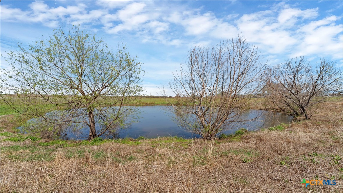 1299 County Road 450 Property Photo 8