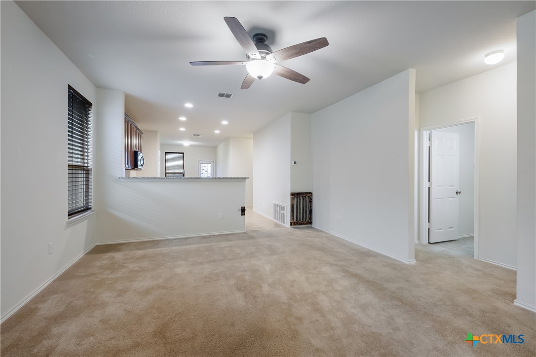 114 Texas Lantana Property Photo 7