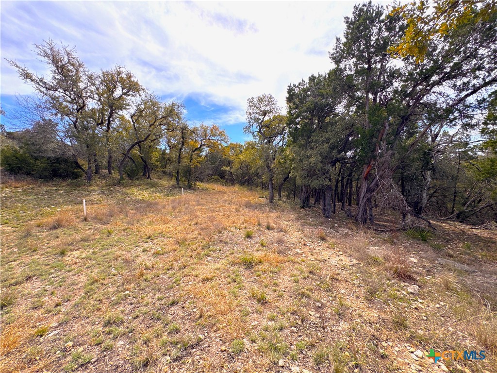 644 Angelica Vista Property Photo 6