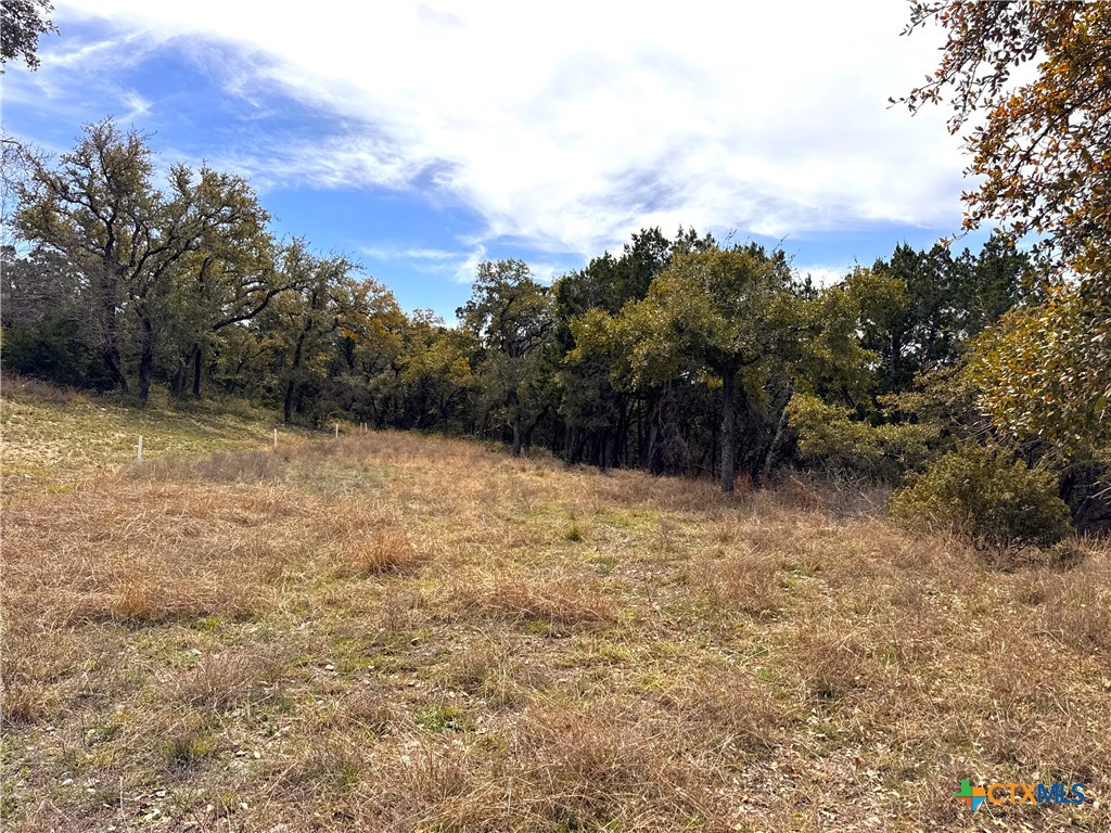 644 Angelica Vista Property Photo 8