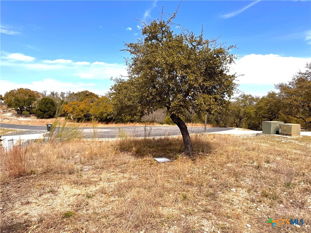 644 Angelica Vista Property Photo 10