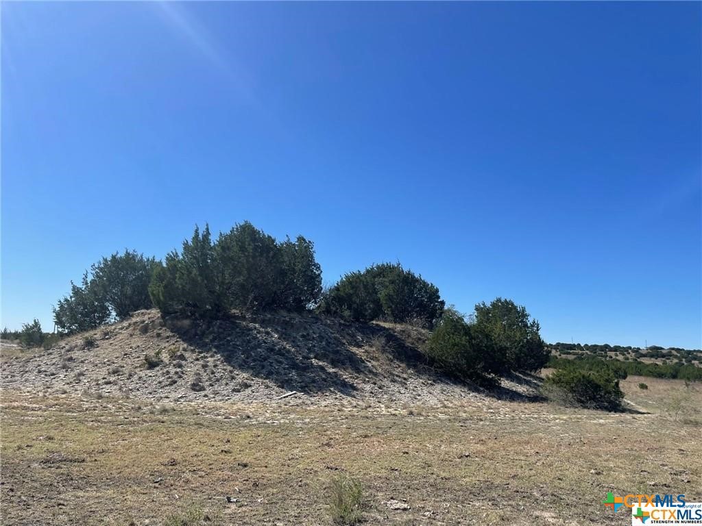 Lot Tbd County Road 1255 Property Photo 2