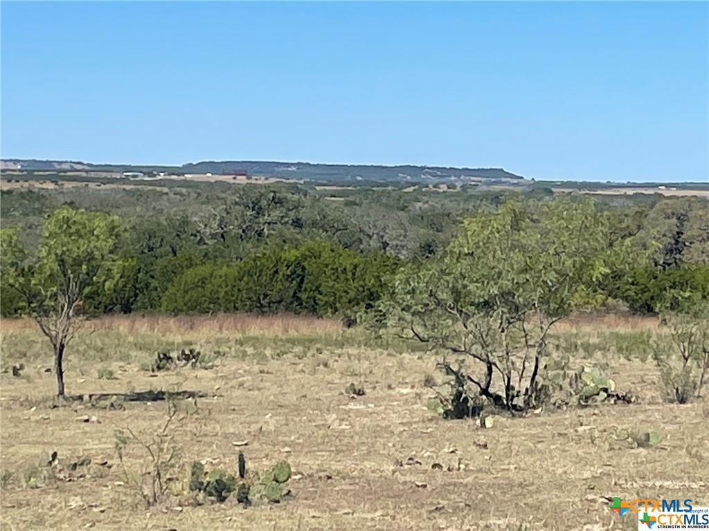 Lot Tbd County Road 1255 Property Photo 5