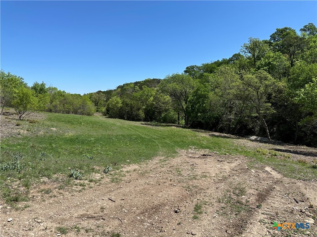 Tract 2 Sh-236 Property Photo 5