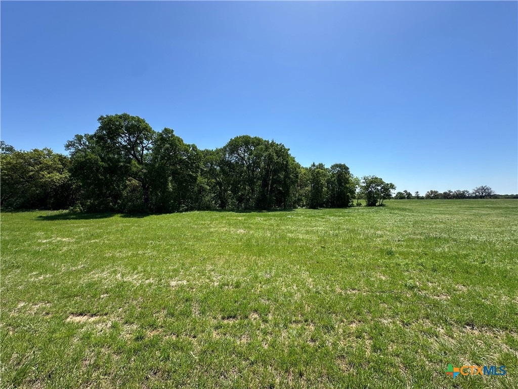Tract 2 Sh-236 Property Photo 10