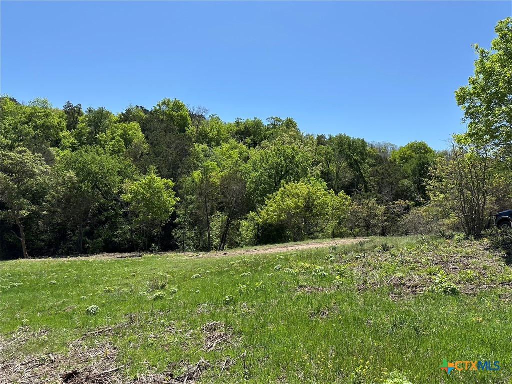 Tract 2 Sh-236 Property Photo 15