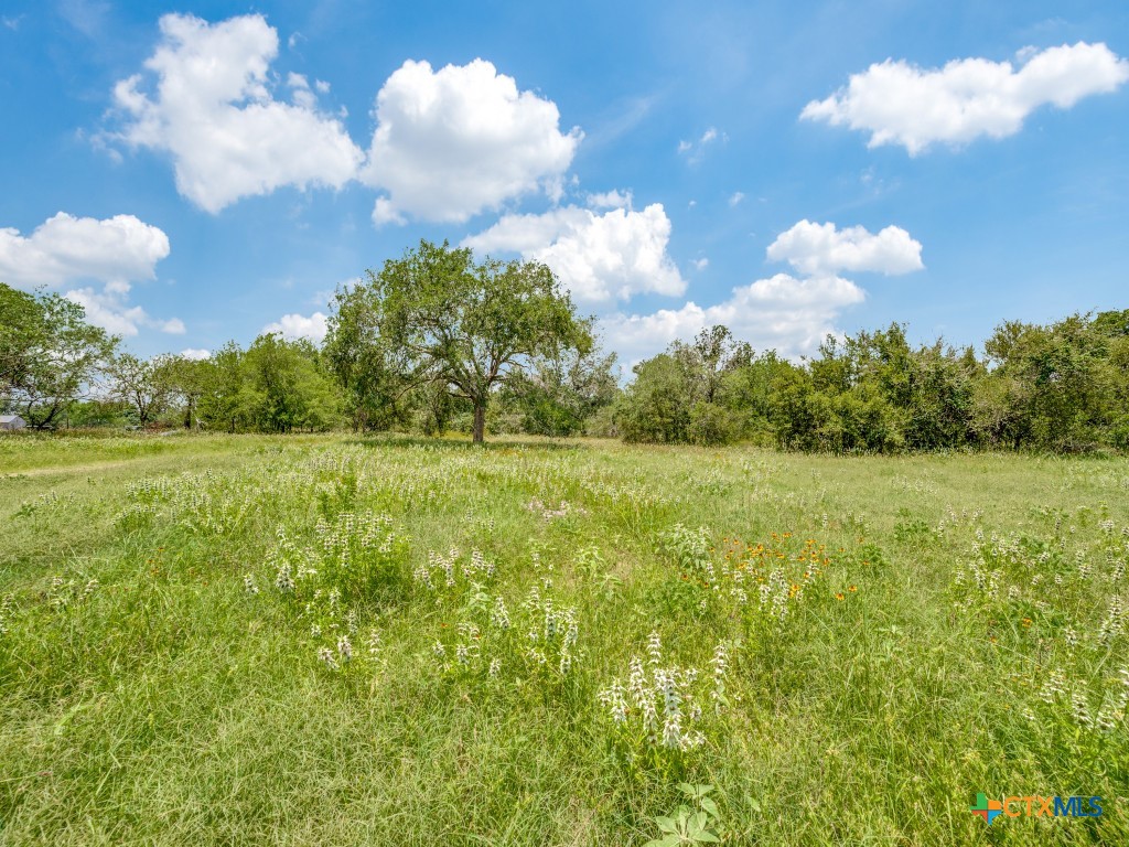 12505 W Fm 476 Property Photo 6
