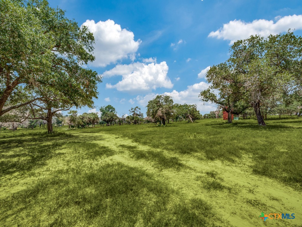 12505 W Fm 476 Property Photo 7