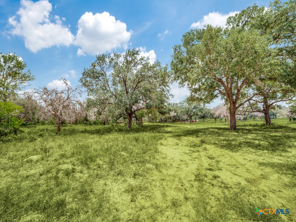 12505 W Fm 476 Property Photo 9