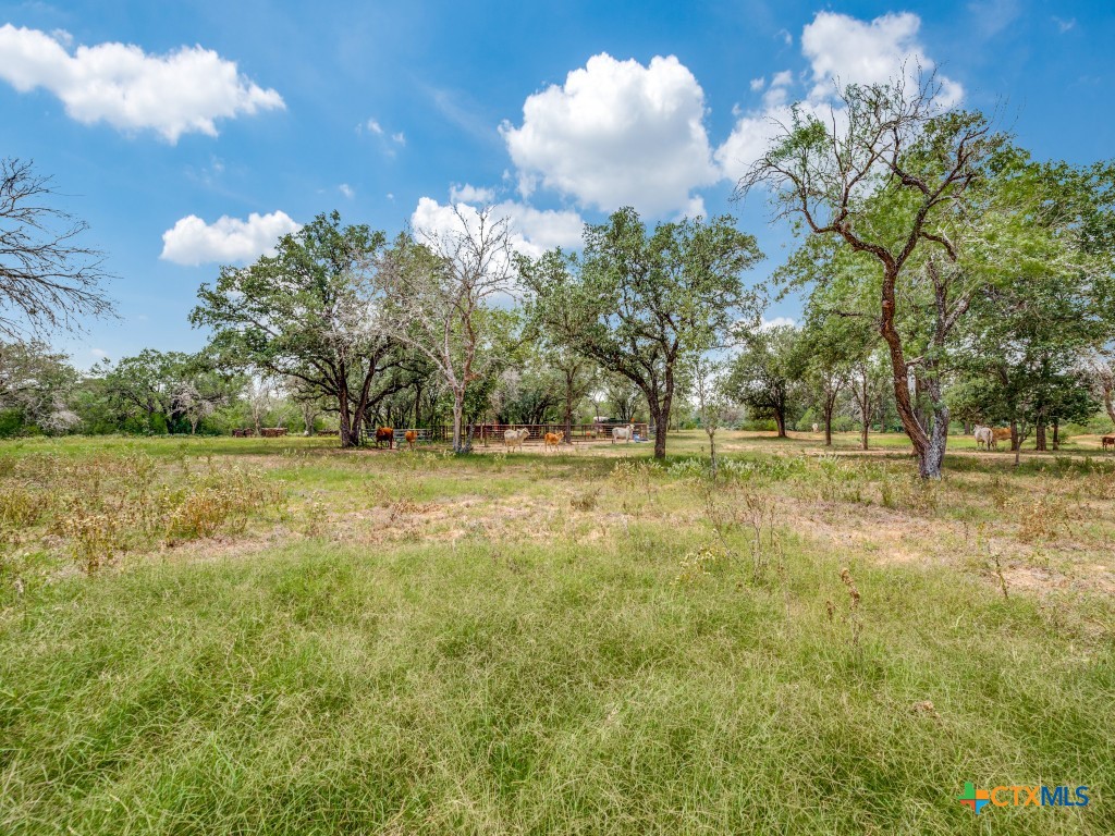 12505 W Fm 476 Property Photo 10