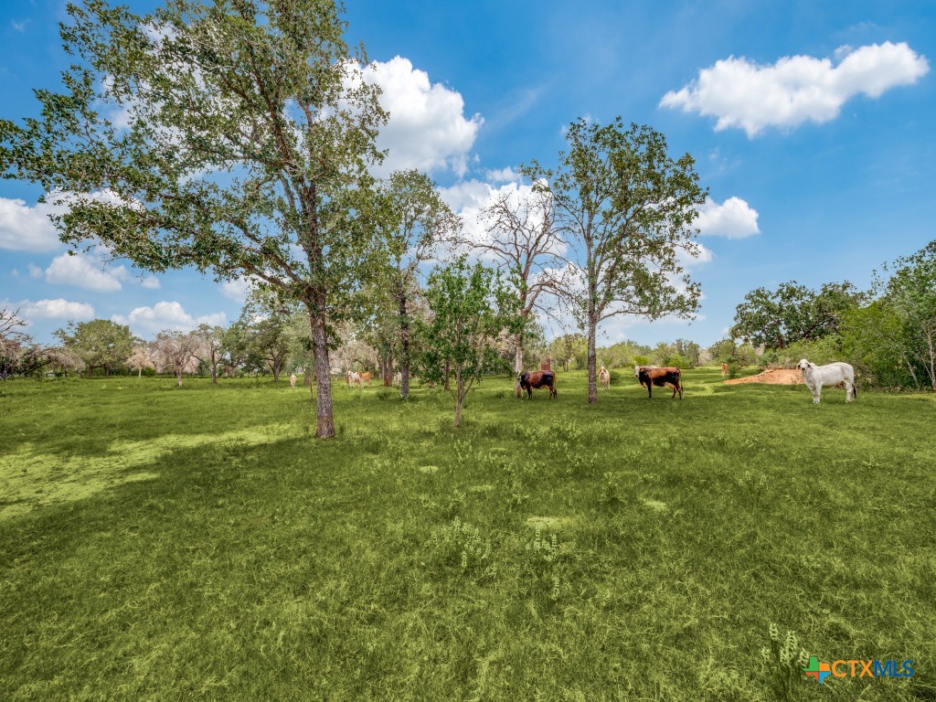 12505 W Fm 476 Property Photo 11