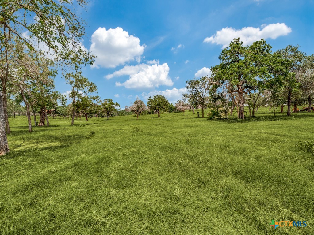 12505 W Fm 476 Property Photo 14