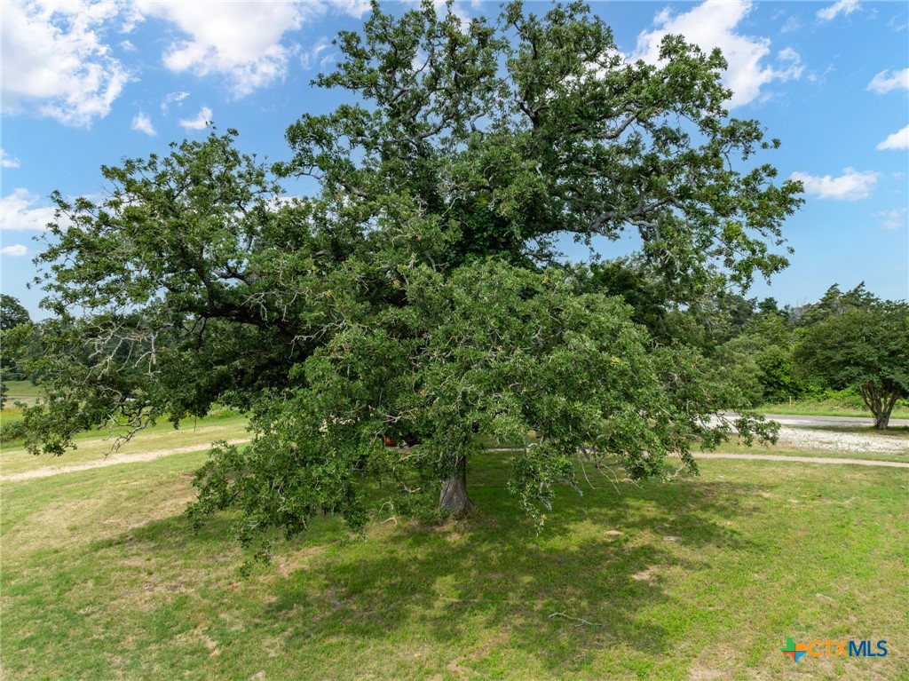 740 County Road 280 Property Photo 39