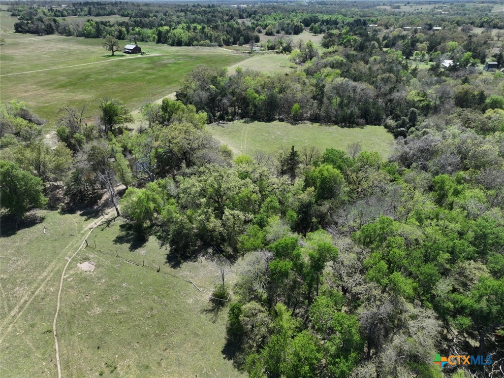 1204 Fm 2095 Property Photo 6