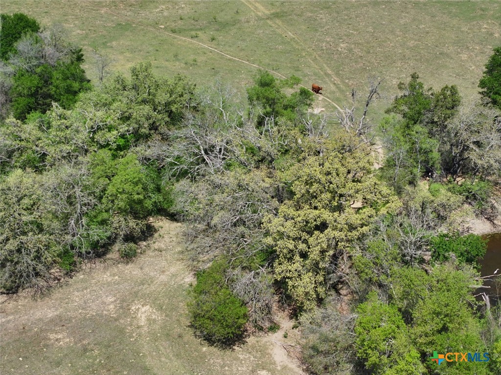 1204 Fm 2095 Property Photo 10