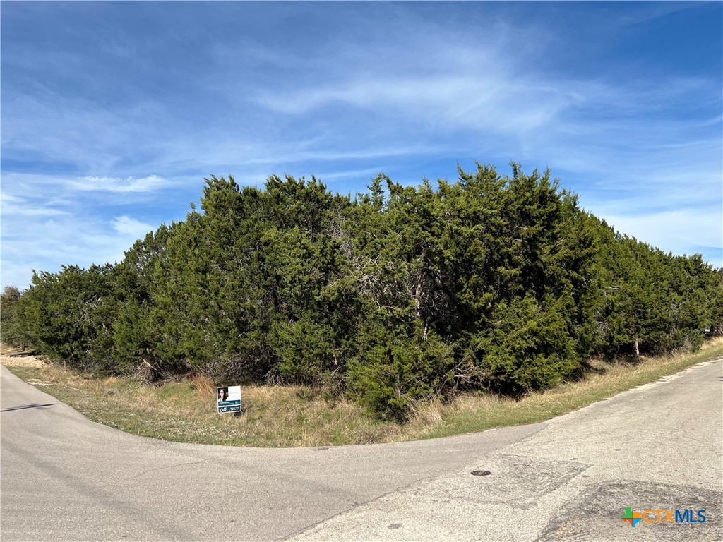 4201 Hillside Drive Property Photo 4