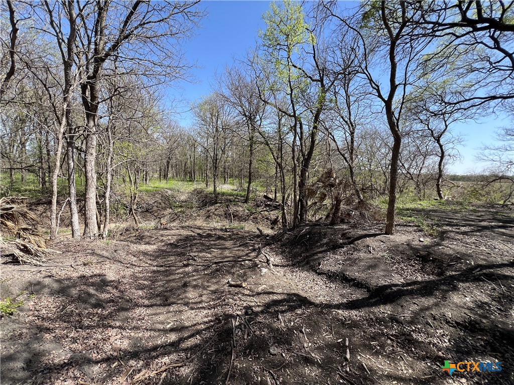11247 Fm 2086 Property Photo 13