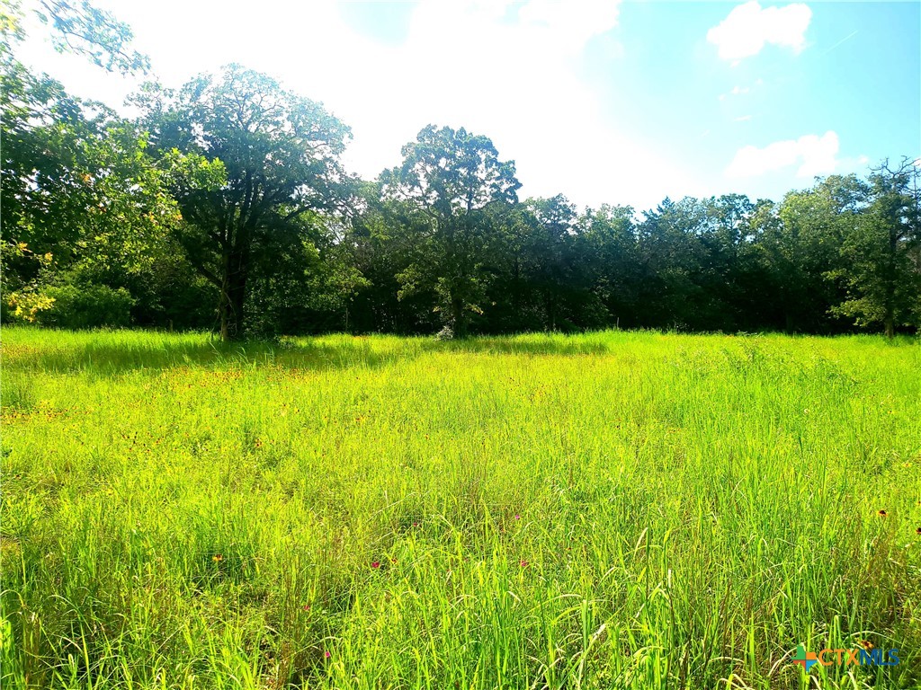 Flatonia Isd Real Estate Listings Main Image