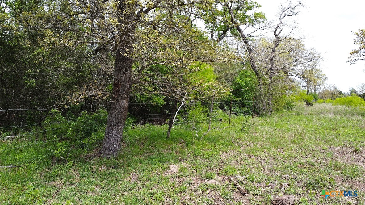 1825 Armstrong-derry Road Property Photo 10
