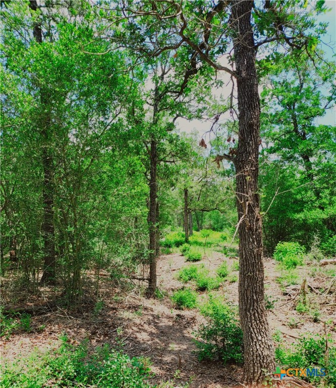 1825 Armstrong-derry Road Property Photo 15