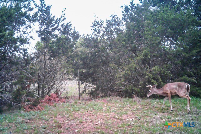 2998 Straws Mill Road Property Photo 45