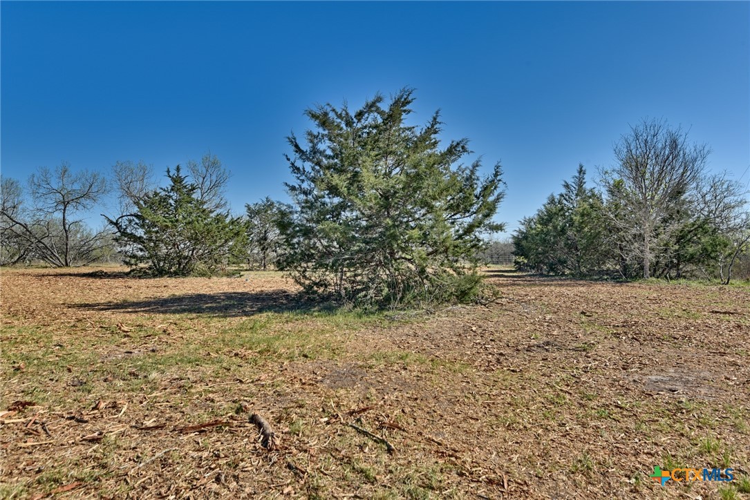 4253 N Hwy 95 Property Photo 2