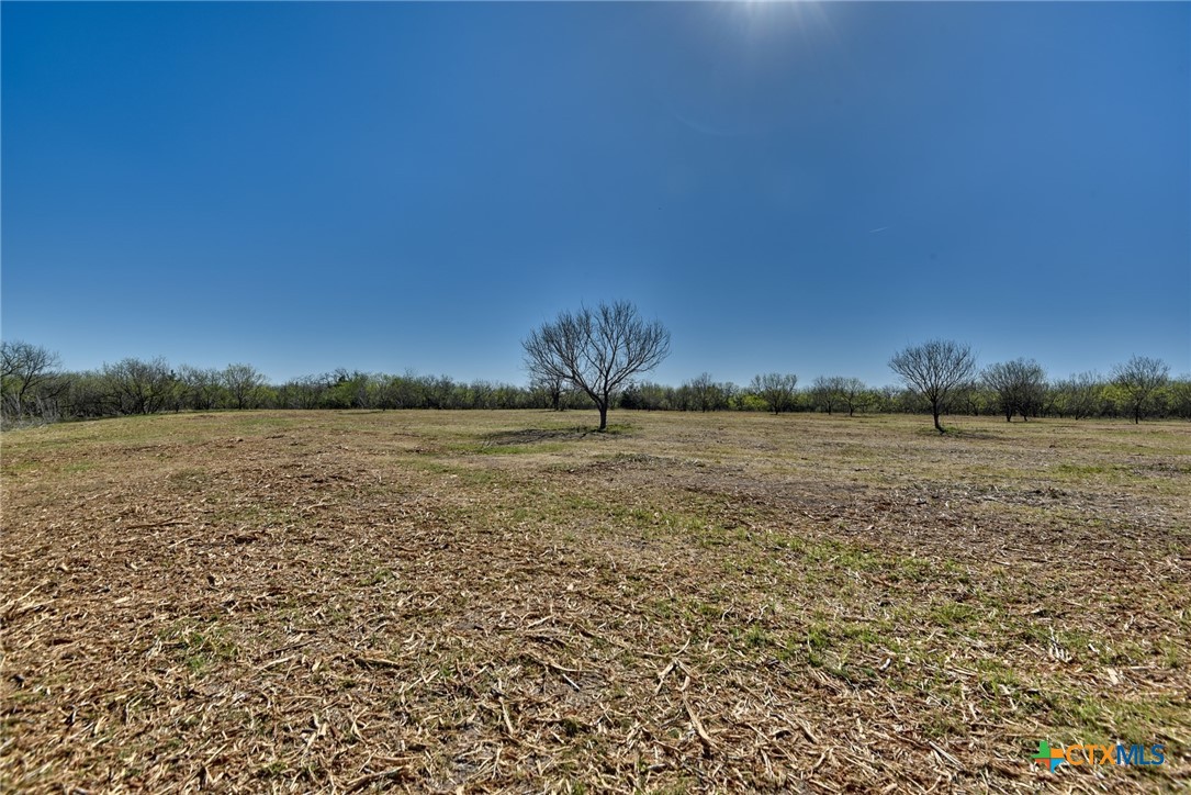 4253 N Hwy 95 Property Photo 6