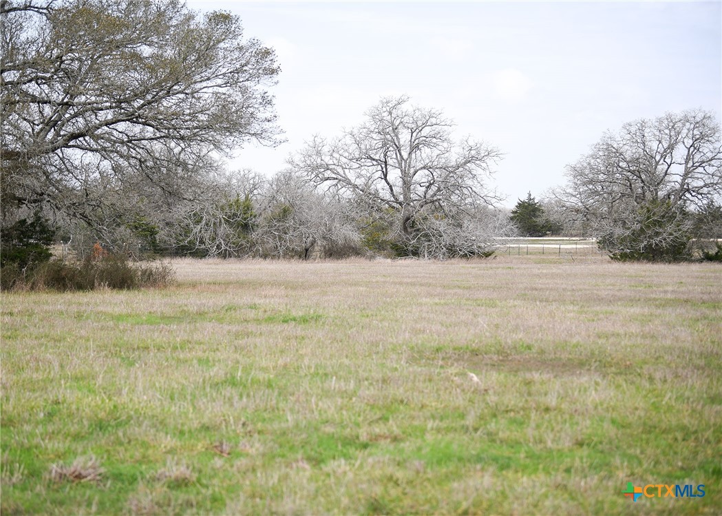 316 Main Loop Road Property Photo 2