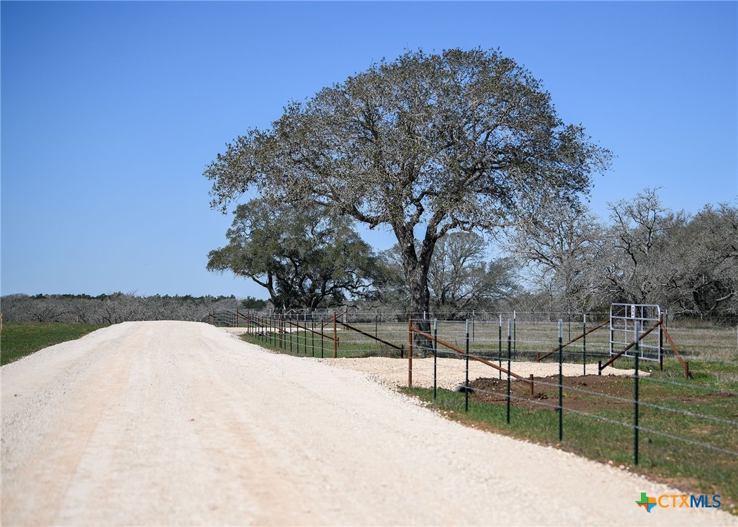 316 Main Loop Road Property Photo 6