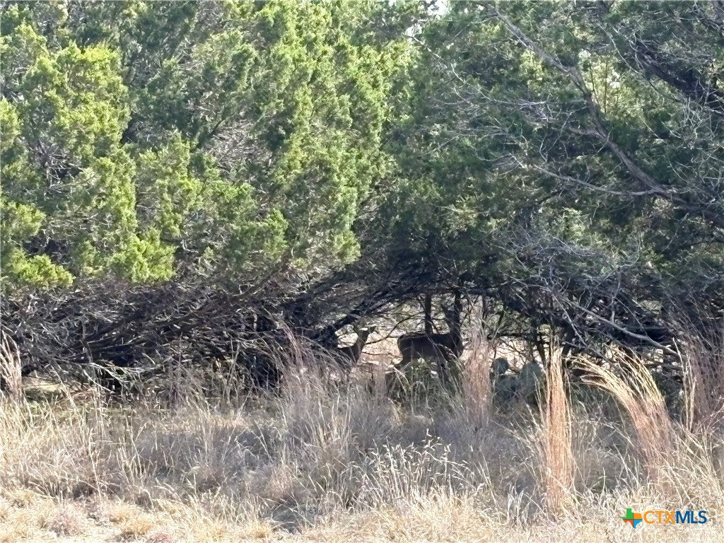 150 County Road 1030 Property Photo