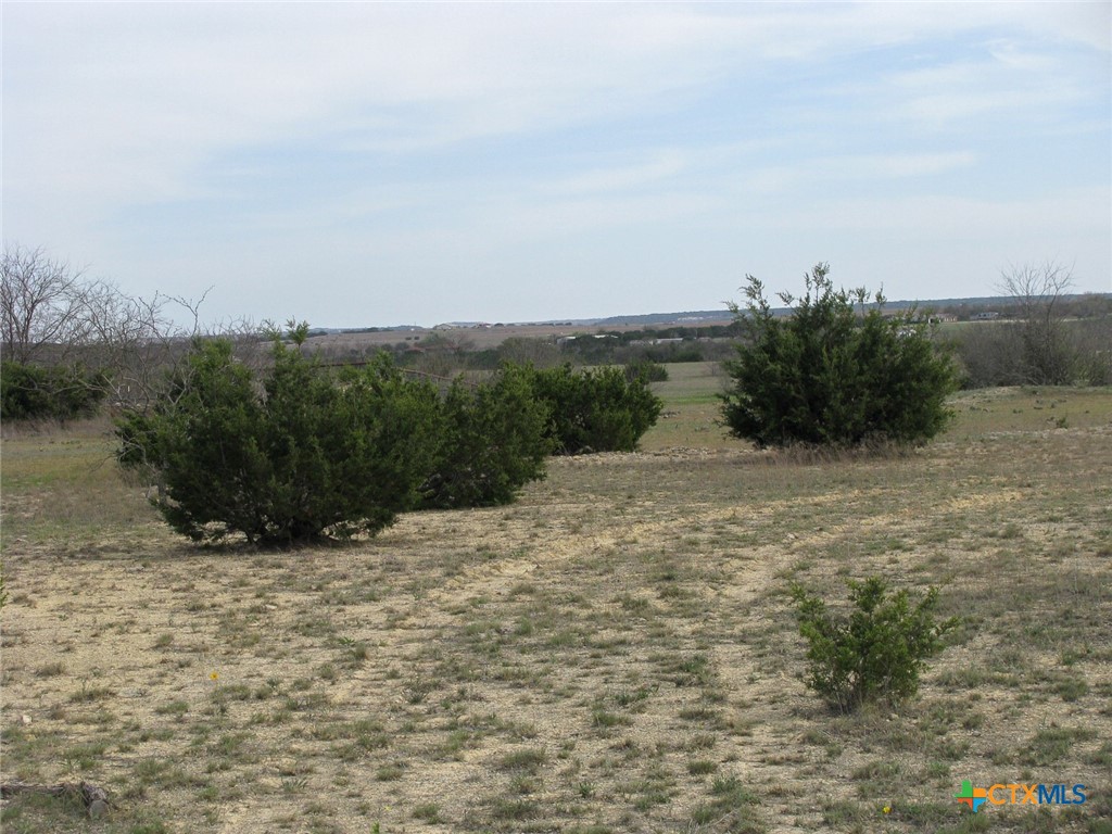34.12 Acres Tbd Fm-116 Property Photo 2