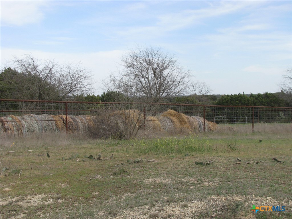 34.12 Acres Tbd Fm-116 Property Photo 3