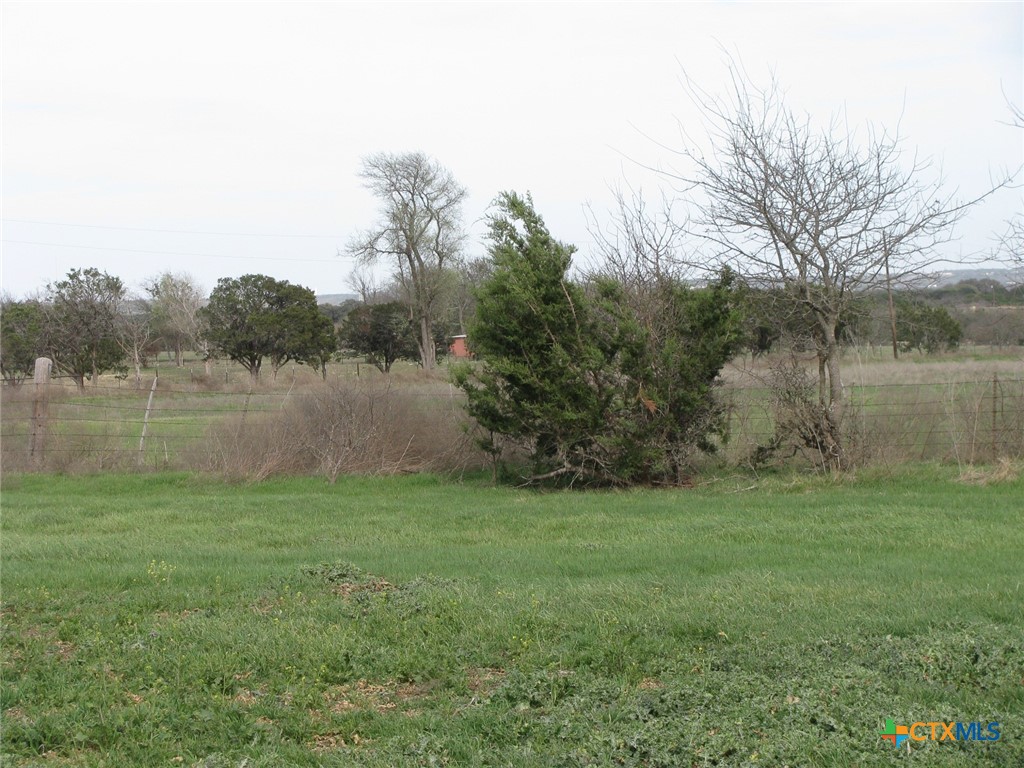 34.12 Acres Tbd Fm-116 Property Photo 5