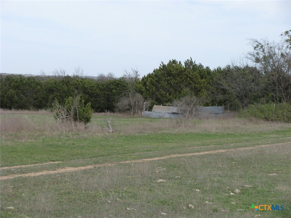34.12 Acres Tbd Fm-116 Property Photo 7