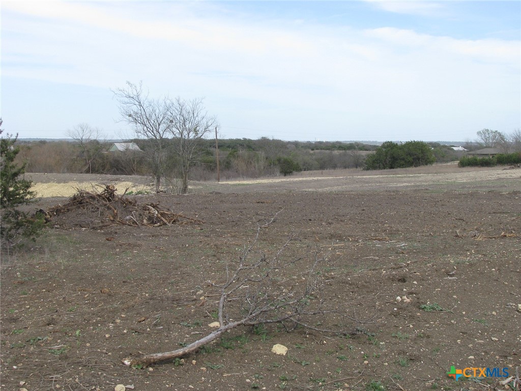 34.12 Acres Tbd Fm-116 Property Photo 10