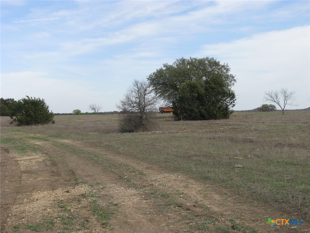 34.12 Acres Tbd Fm-116 Property Photo 11