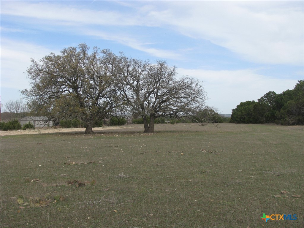 34.12 Acres Tbd Fm-116 Property Photo 13