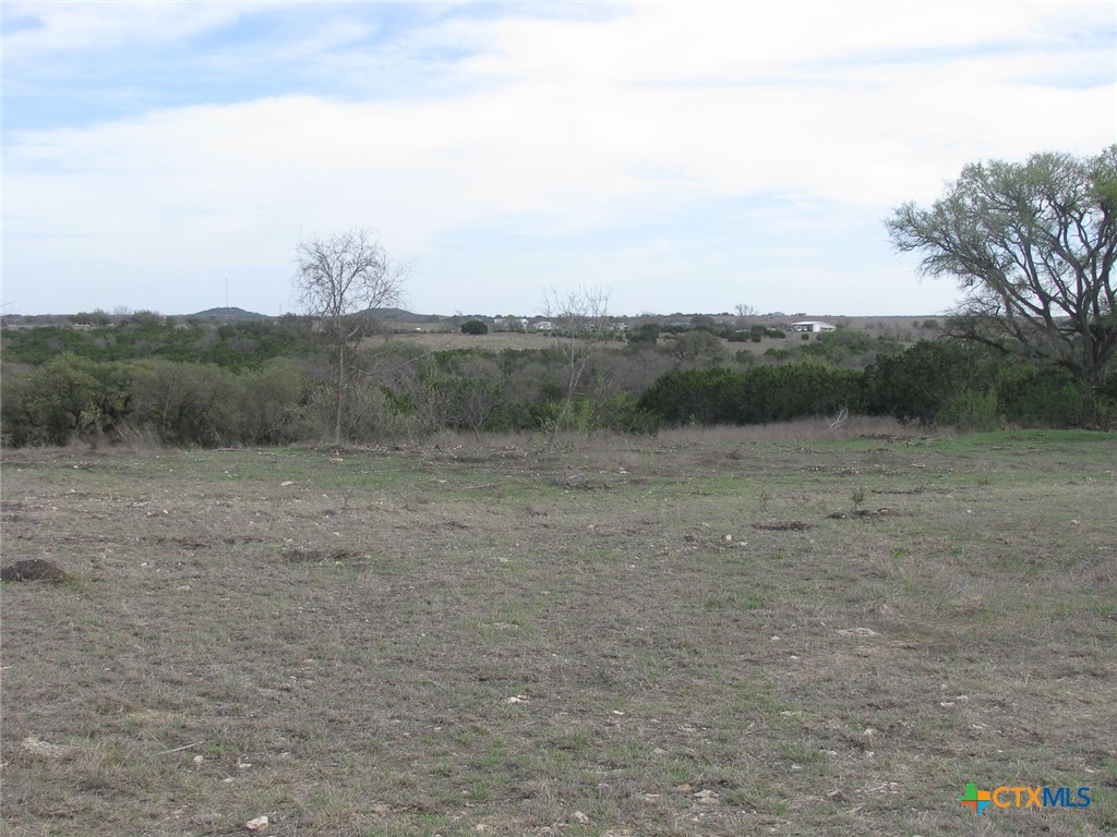 34.12 Acres Tbd Fm-116 Property Photo 14