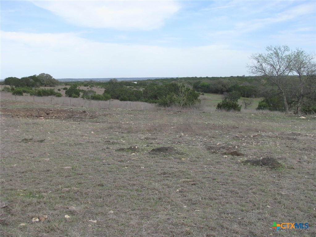 34.12 Acres Tbd Fm-116 Property Photo 15