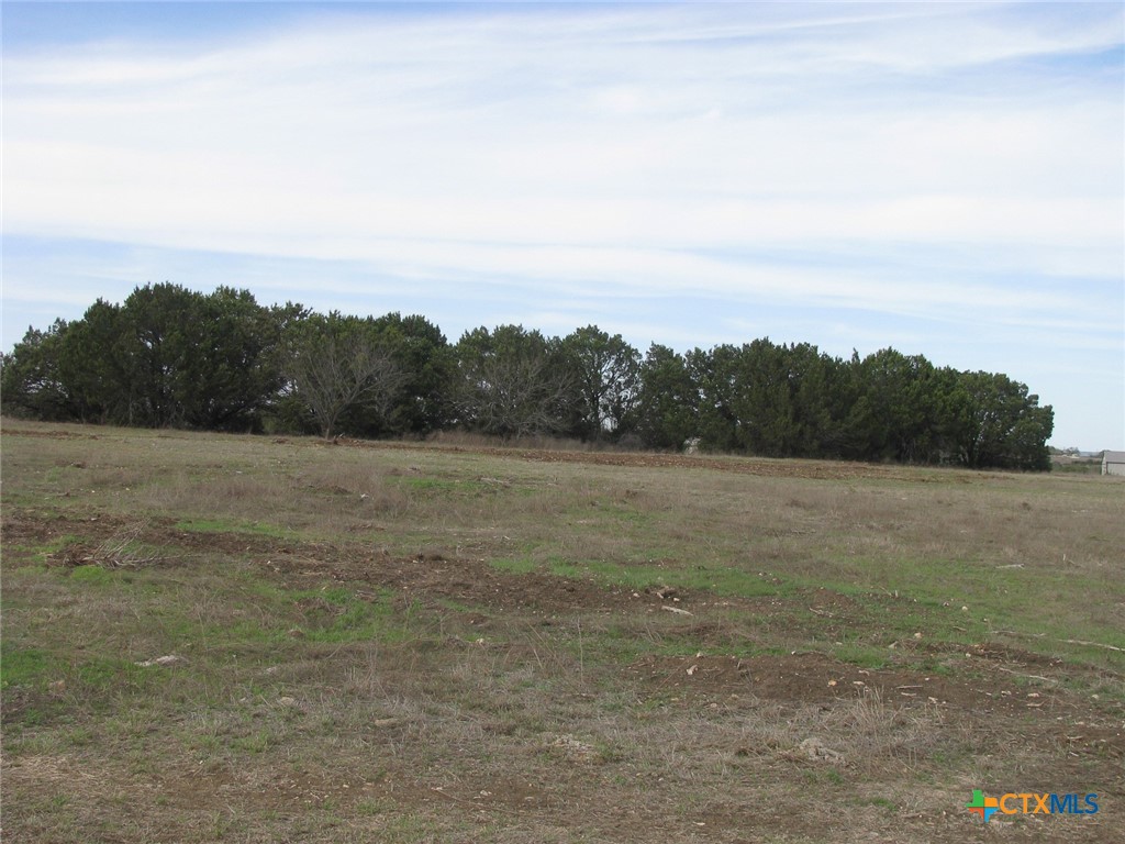 34.12 Acres Tbd Fm-116 Property Photo 16