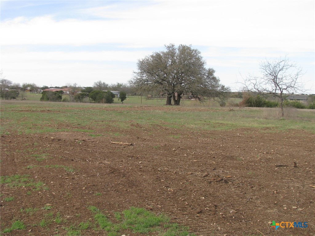 34.12 Acres Tbd Fm-116 Property Photo 17
